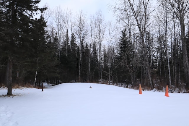 view of yard layered in snow