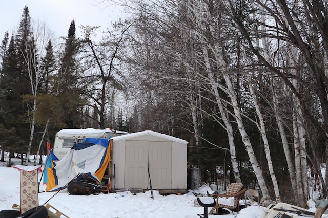 yard covered in snow featuring a storage unit