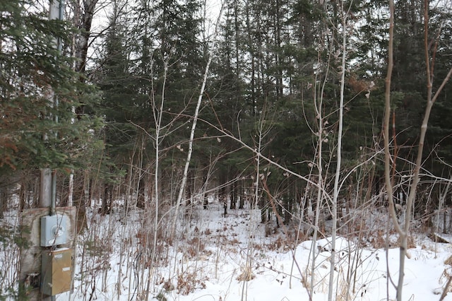 view of snowy landscape