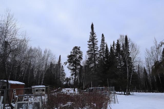 view of yard covered in snow