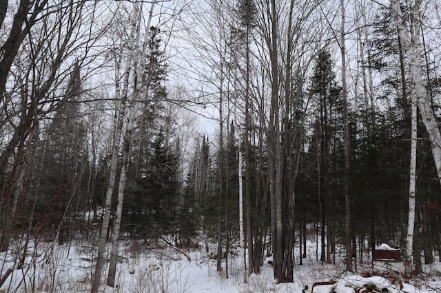 view of snowy landscape