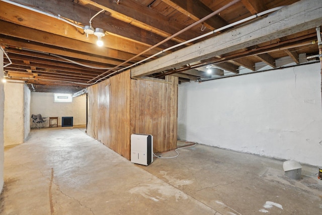 basement with wood walls