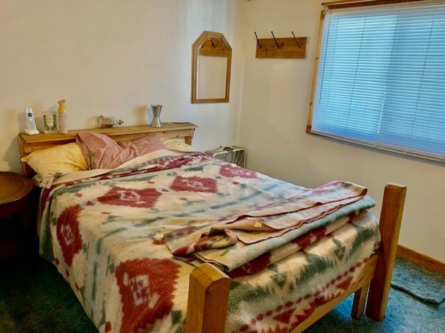 bedroom with dark colored carpet