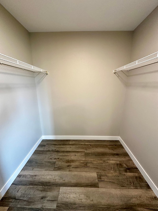 spacious closet with dark hardwood / wood-style floors