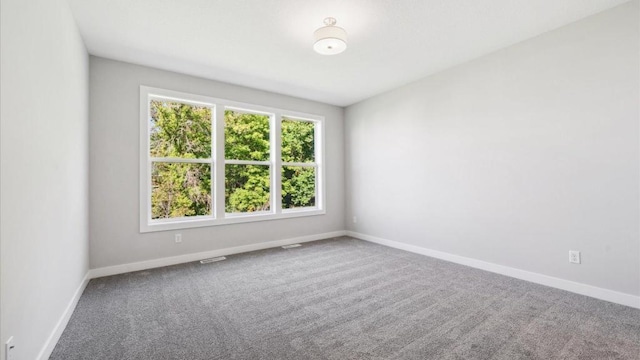 spare room featuring carpet floors