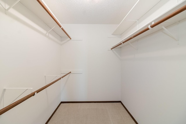 walk in closet with light colored carpet