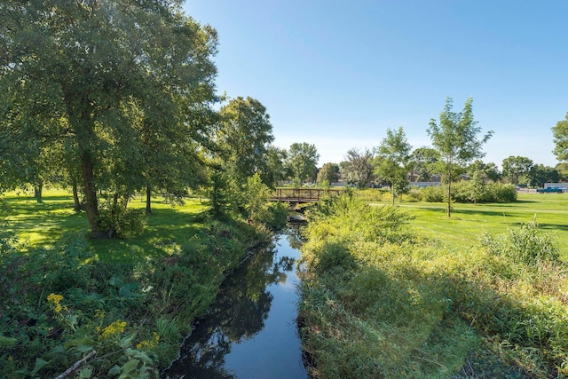 view of local wilderness with a water view