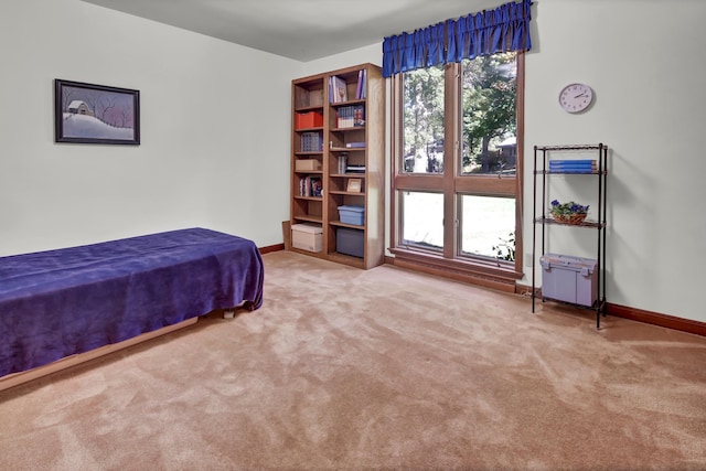 bedroom featuring multiple windows and carpet flooring