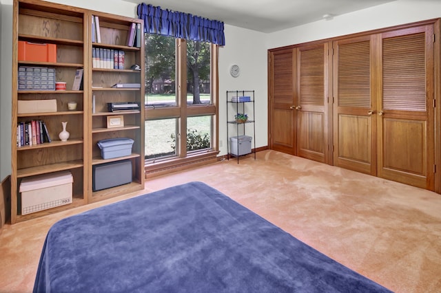 interior space featuring light colored carpet and a closet