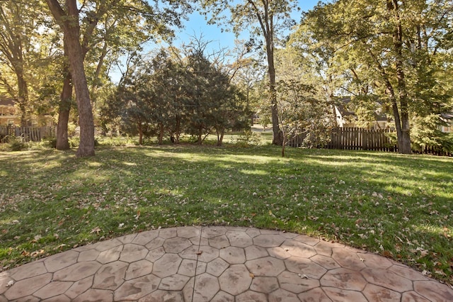 view of yard with a patio area