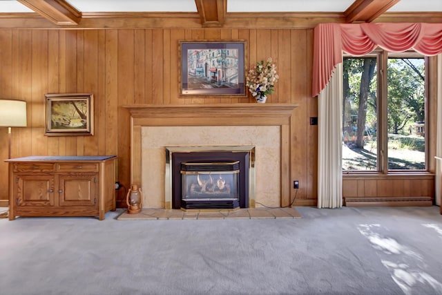 details featuring carpet flooring and wooden walls