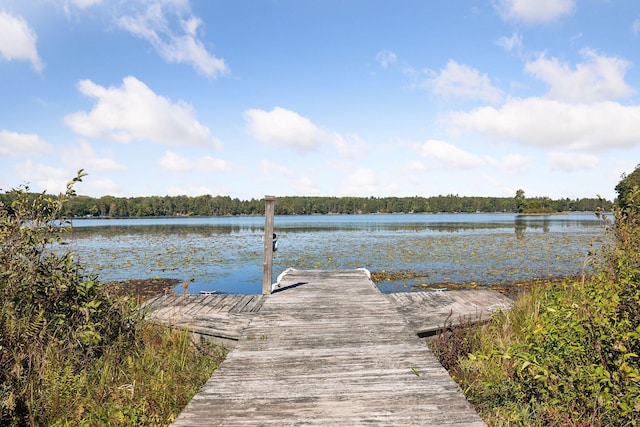 dock area with a water view