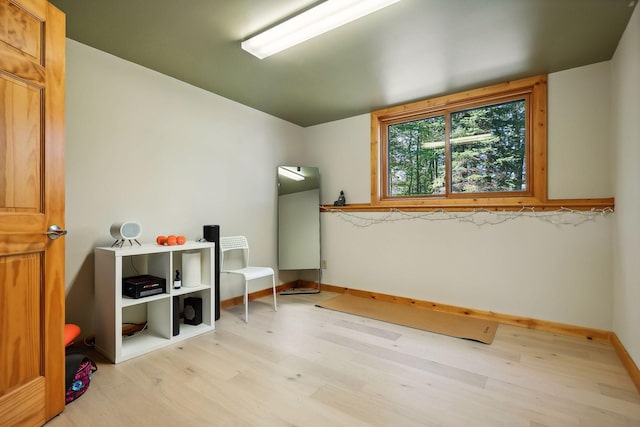 additional living space featuring light hardwood / wood-style flooring