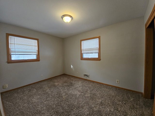 carpeted empty room with a wealth of natural light