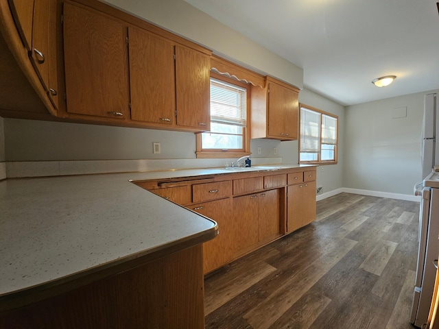 kitchen with dark hardwood / wood-style floors, range, and sink