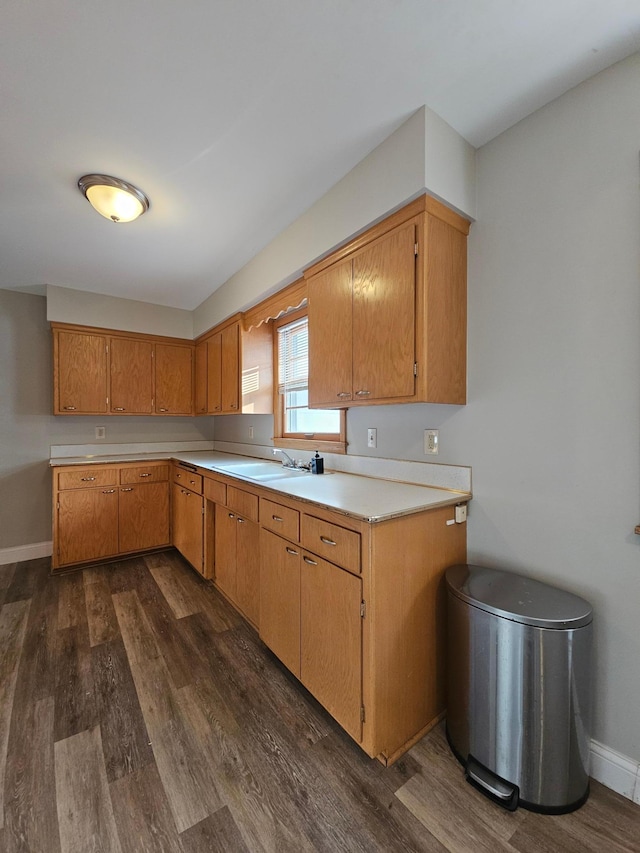 kitchen featuring dark wood-type flooring and sink