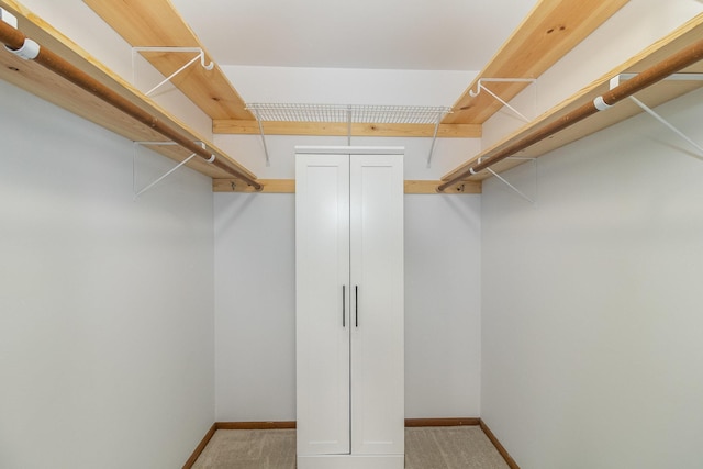 walk in closet featuring light carpet