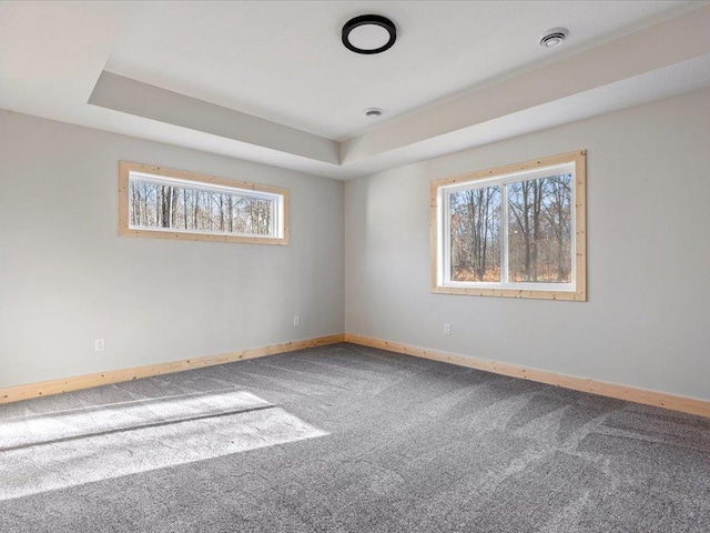 carpeted empty room with a raised ceiling and a wealth of natural light