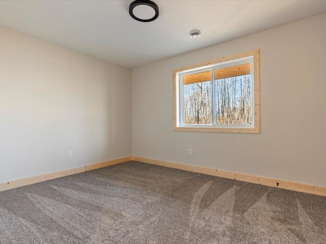 spare room with carpet floors