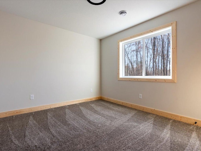 empty room with carpet flooring