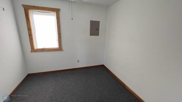 empty room with carpet flooring and electric panel