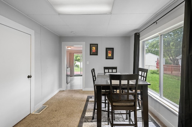 dining area featuring carpet flooring and a drop ceiling