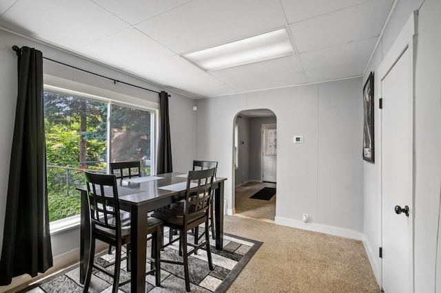 dining area featuring carpet flooring and a drop ceiling