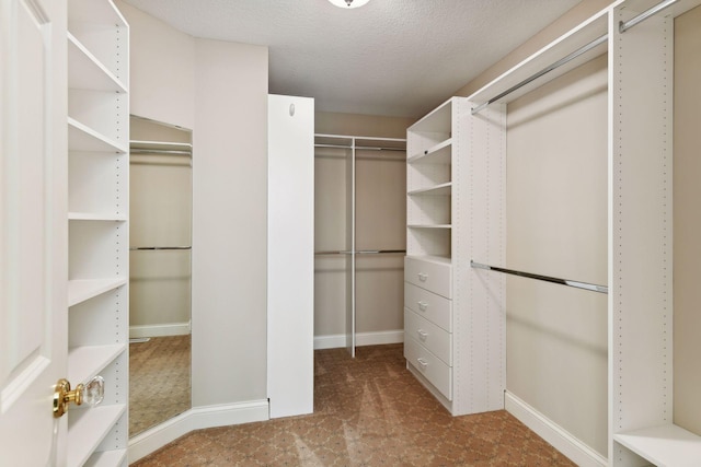 walk in closet featuring carpet flooring