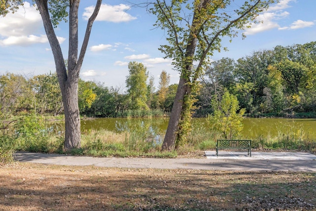 view of home's community featuring a water view