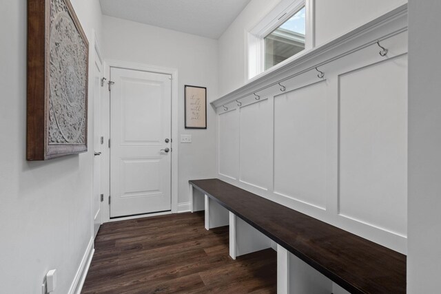 mudroom featuring dark hardwood / wood-style floors