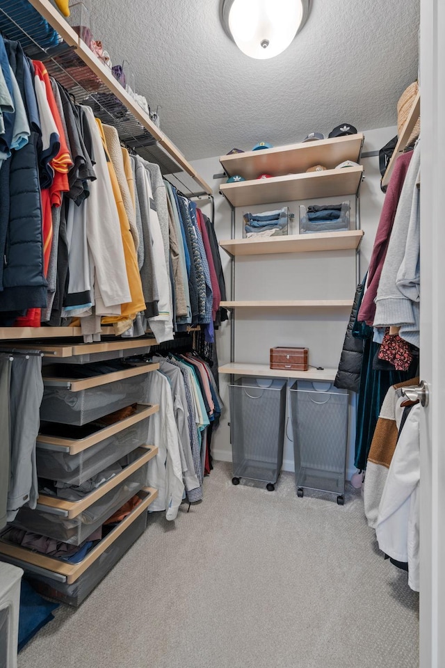 walk in closet with carpet floors