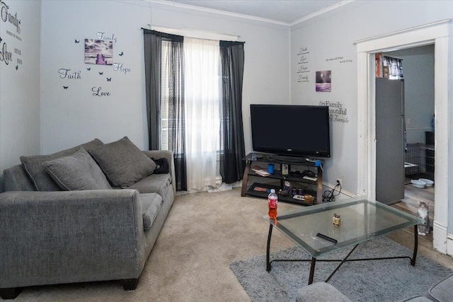 carpeted living room featuring crown molding