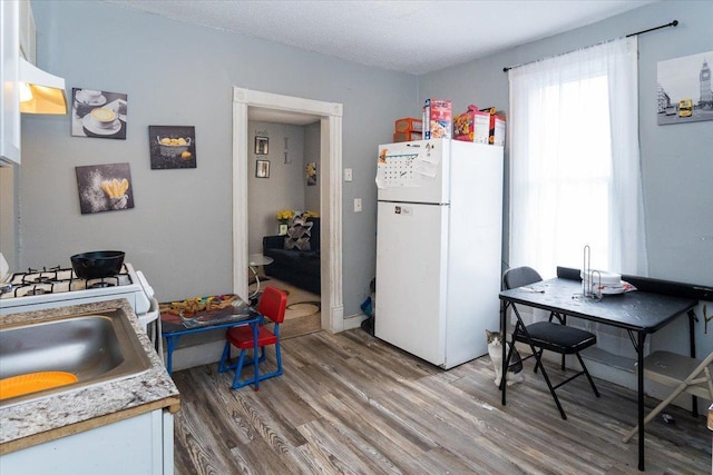 kitchen featuring sink, white fridge, and wood-type flooring