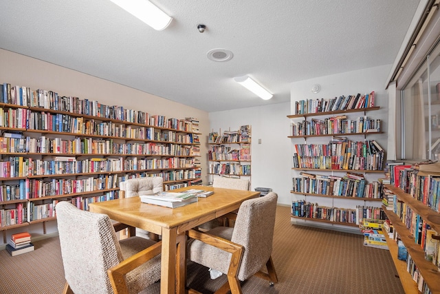 carpeted home office with a textured ceiling