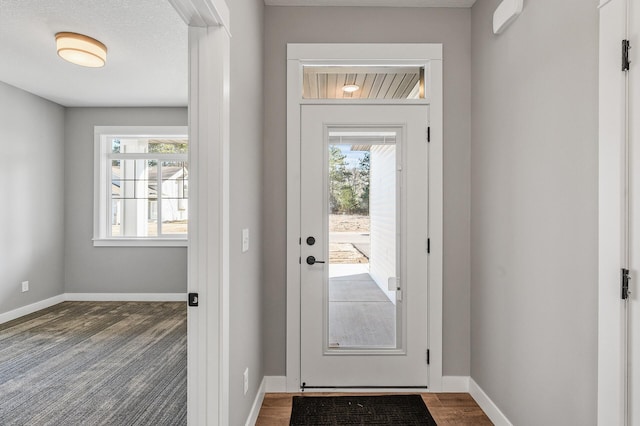 entryway with plenty of natural light