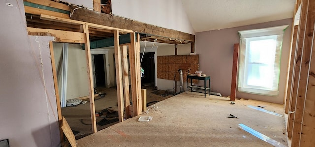 miscellaneous room with vaulted ceiling