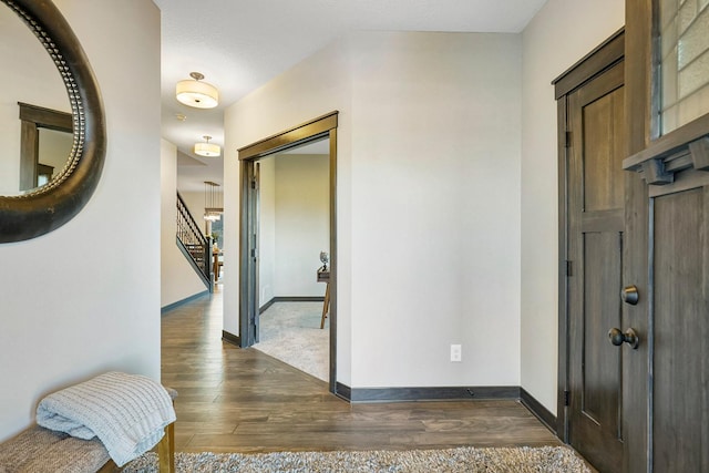 entryway with dark wood-type flooring