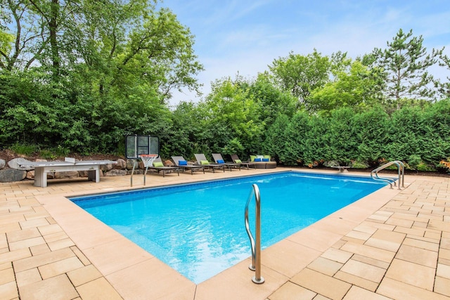 view of swimming pool with a patio