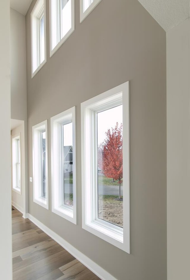 interior space with a high ceiling and light hardwood / wood-style flooring