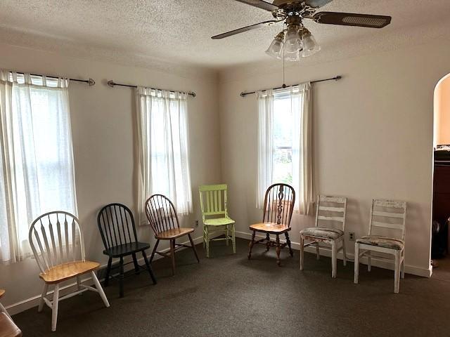 1635 Delano Ave, Maple Plain, MN 55359 - living area featuring arched walkways, plenty of natural light, a textured ceiling, ceiling fan, and carpet