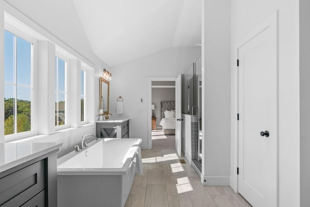 bathroom with lofted ceiling, vanity, and a washtub