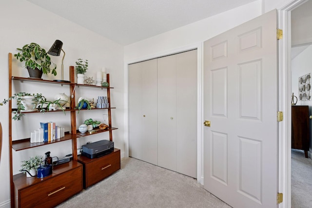 bedroom with a closet and light carpet