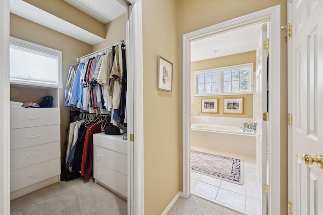 spacious closet with light carpet