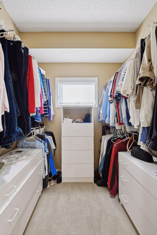 spacious closet with light carpet