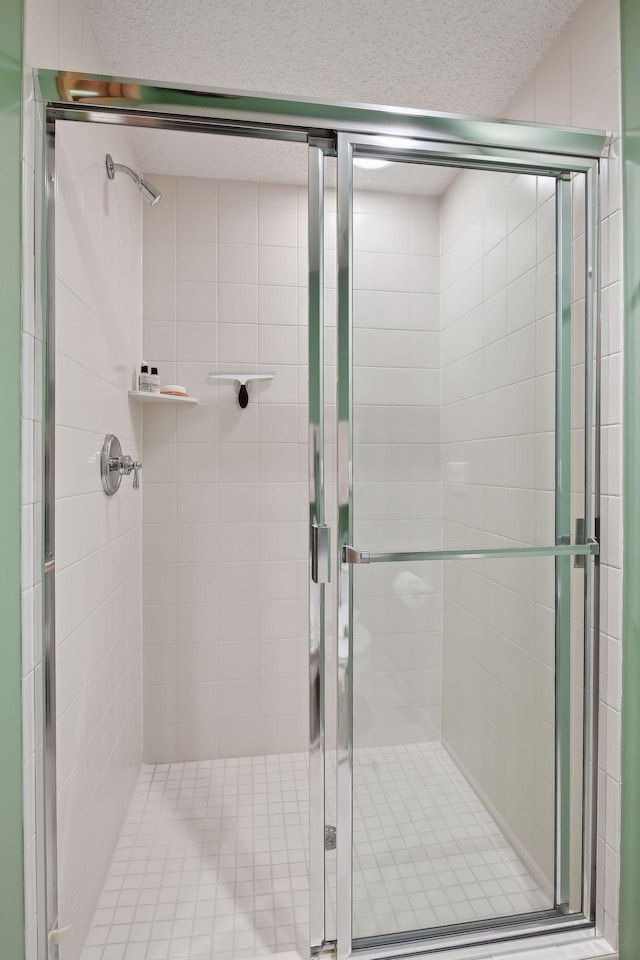 bathroom featuring a shower with shower door