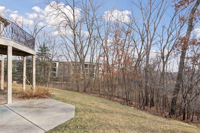 view of yard featuring a patio