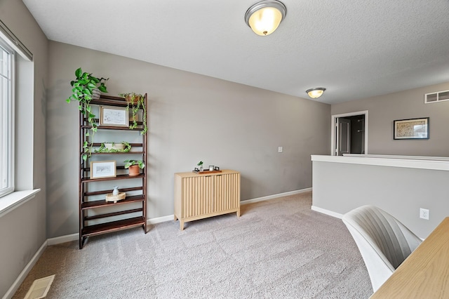 carpeted home office with a wealth of natural light