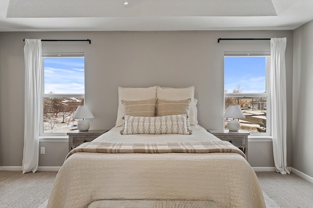 bedroom featuring a raised ceiling and carpet floors