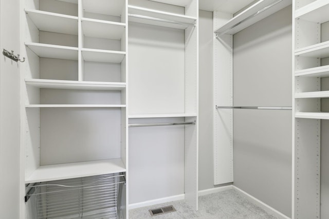 spacious closet with carpet floors