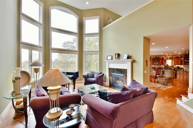 living room with a fireplace, a high ceiling, and light hardwood / wood-style flooring